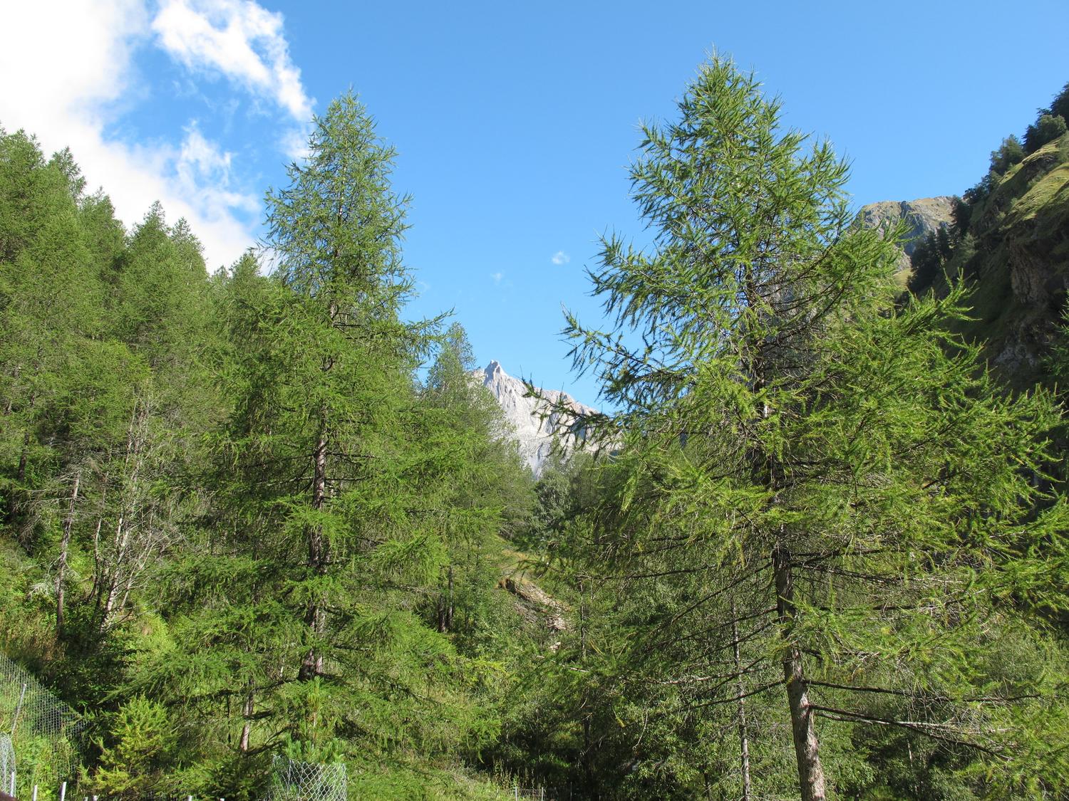 Approach through the Baltschiedertal.