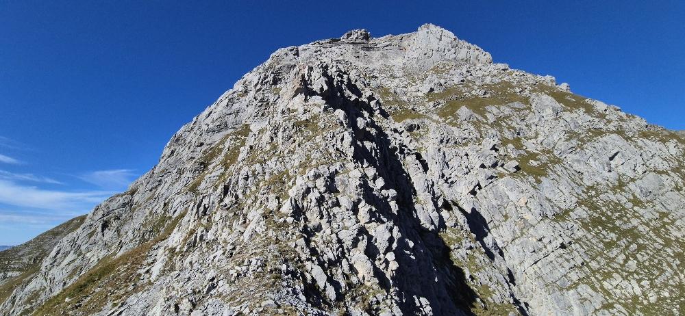 Rigidalstockgrat