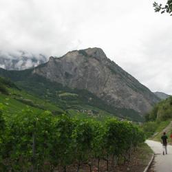 Via Farinetta  - Sillion D (variant E/F)