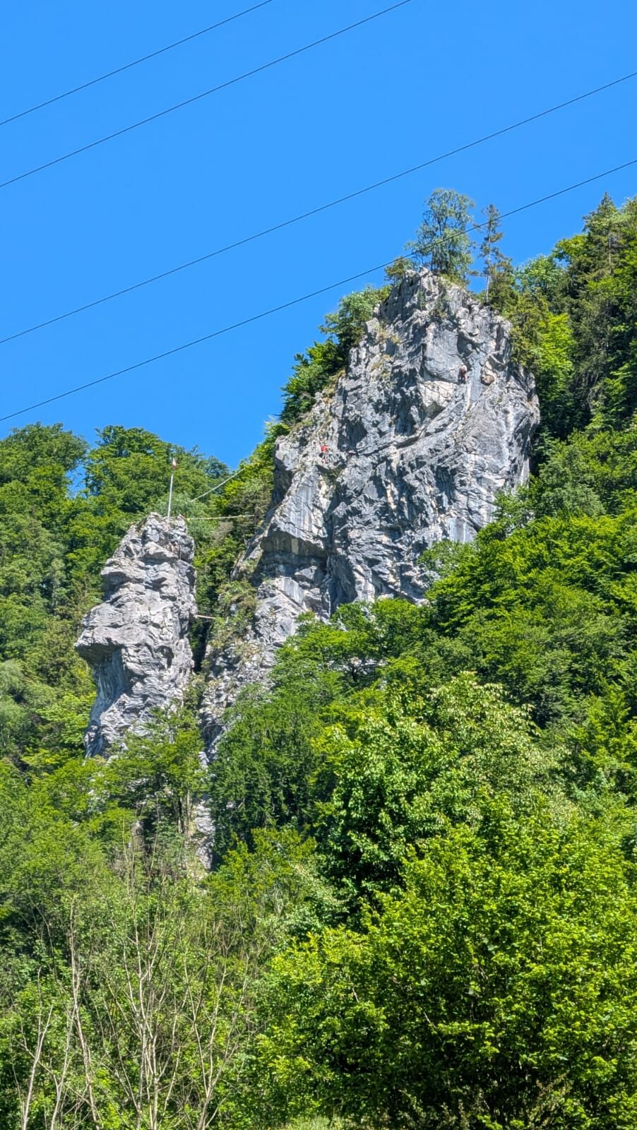 1000103158.jpg