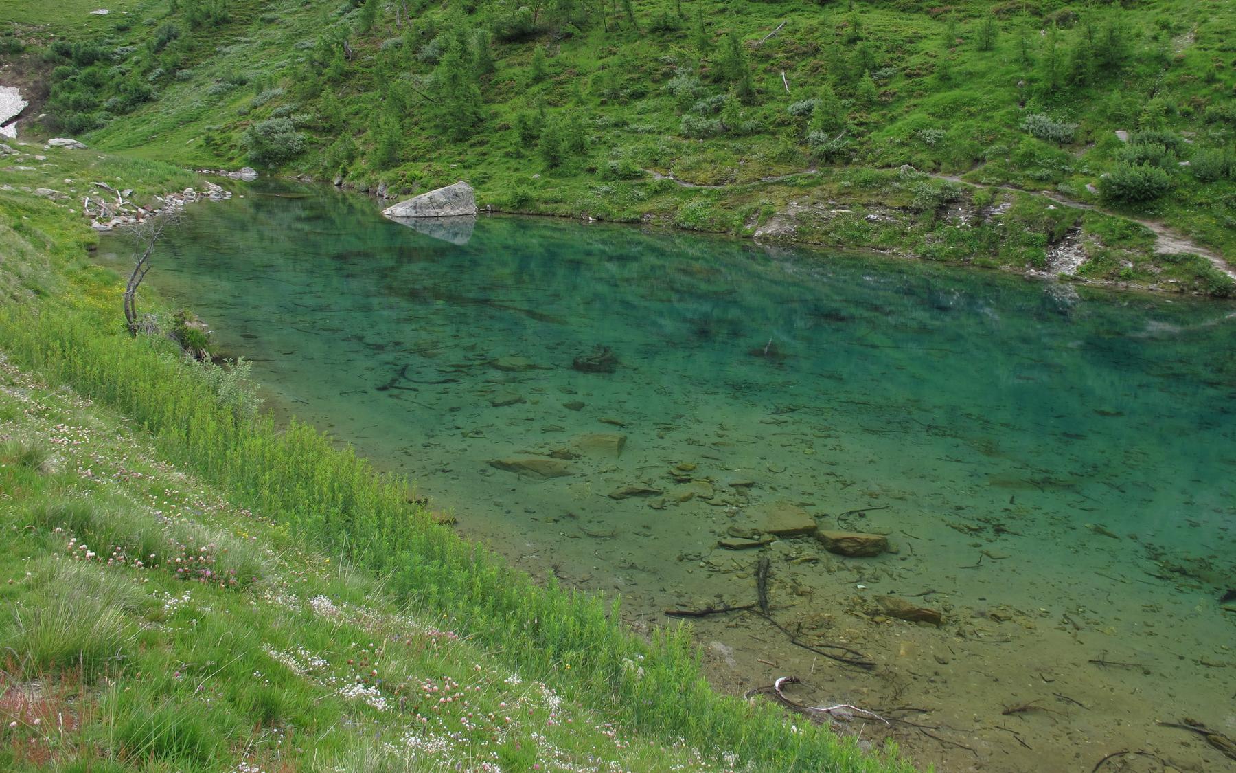 Glasklares Wasser im Grundsee.
