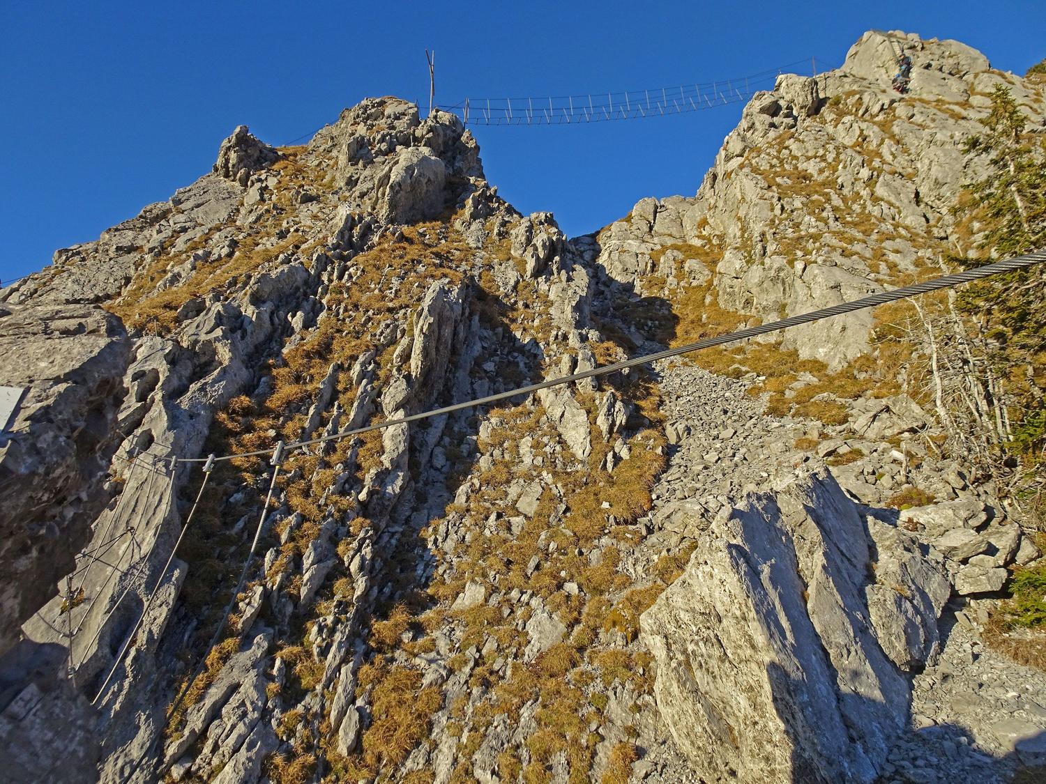 Three-cable bridge and suspension bridge.