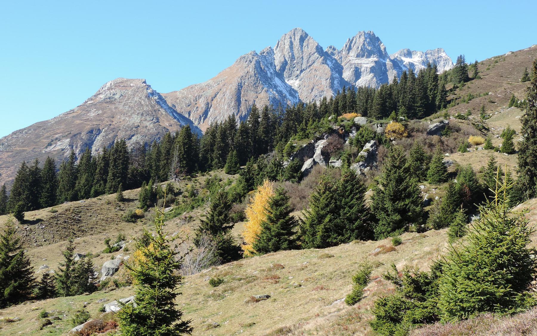 Alp da Schlans.