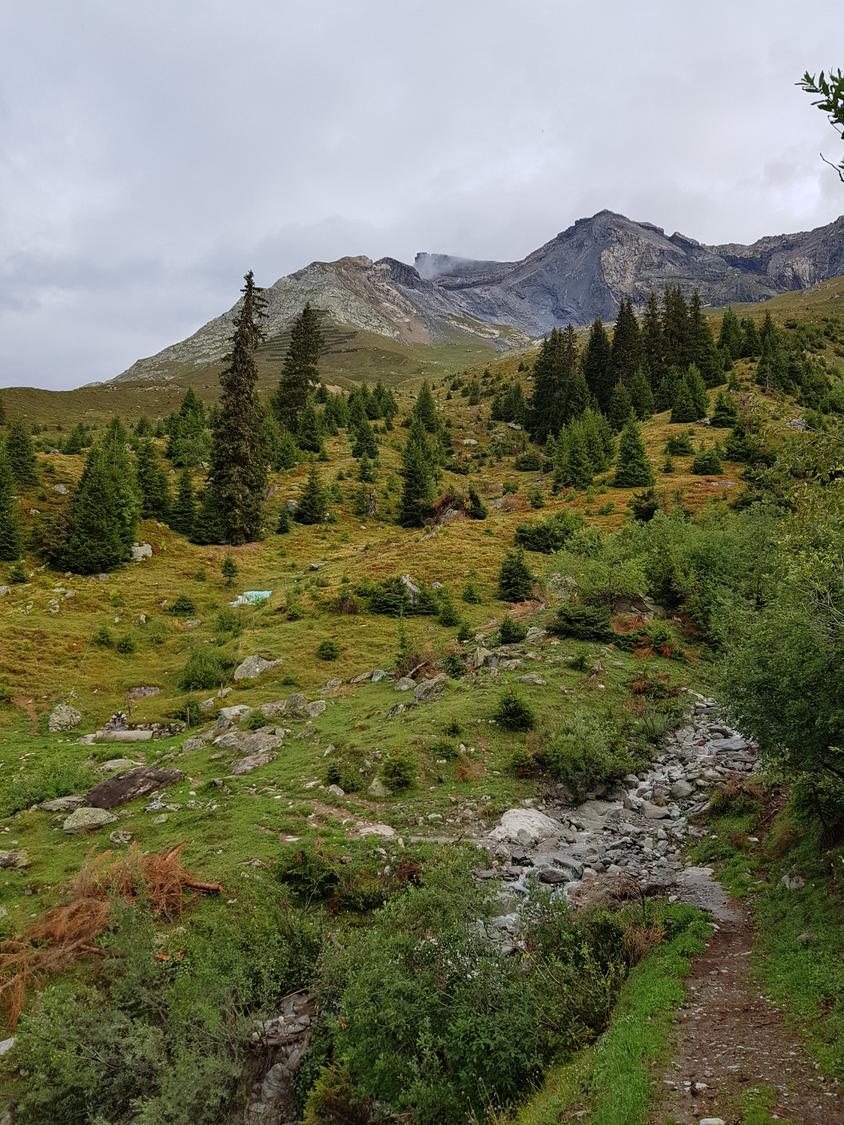 Alp da Schlans.
