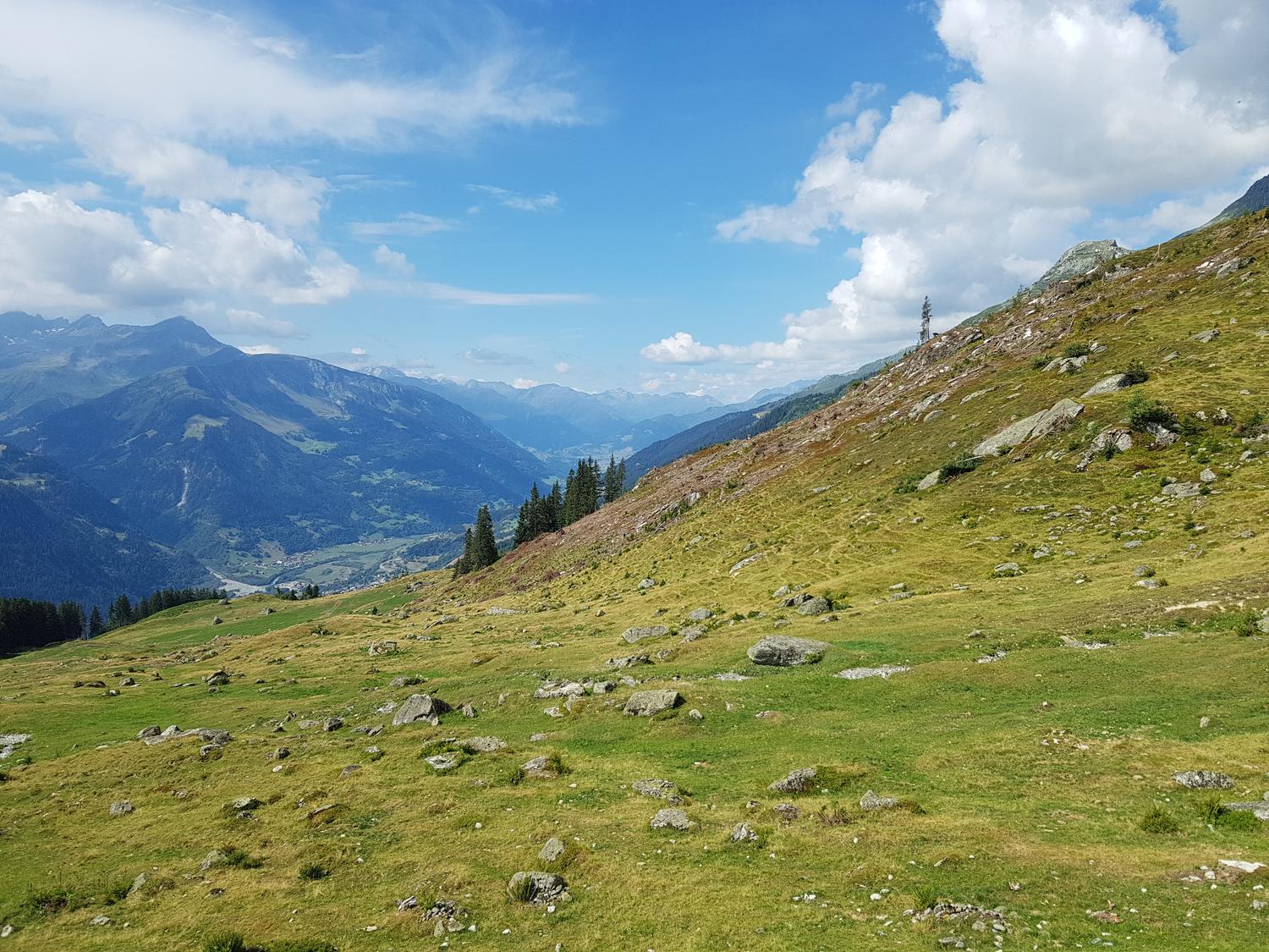 Alp da Schlans.