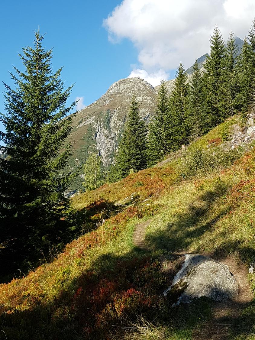 Alp da Schlans.