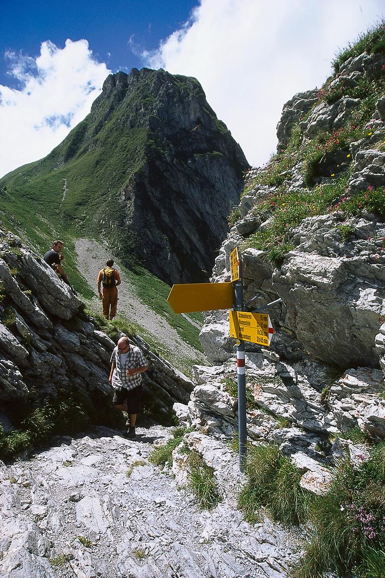 Leiterepass.