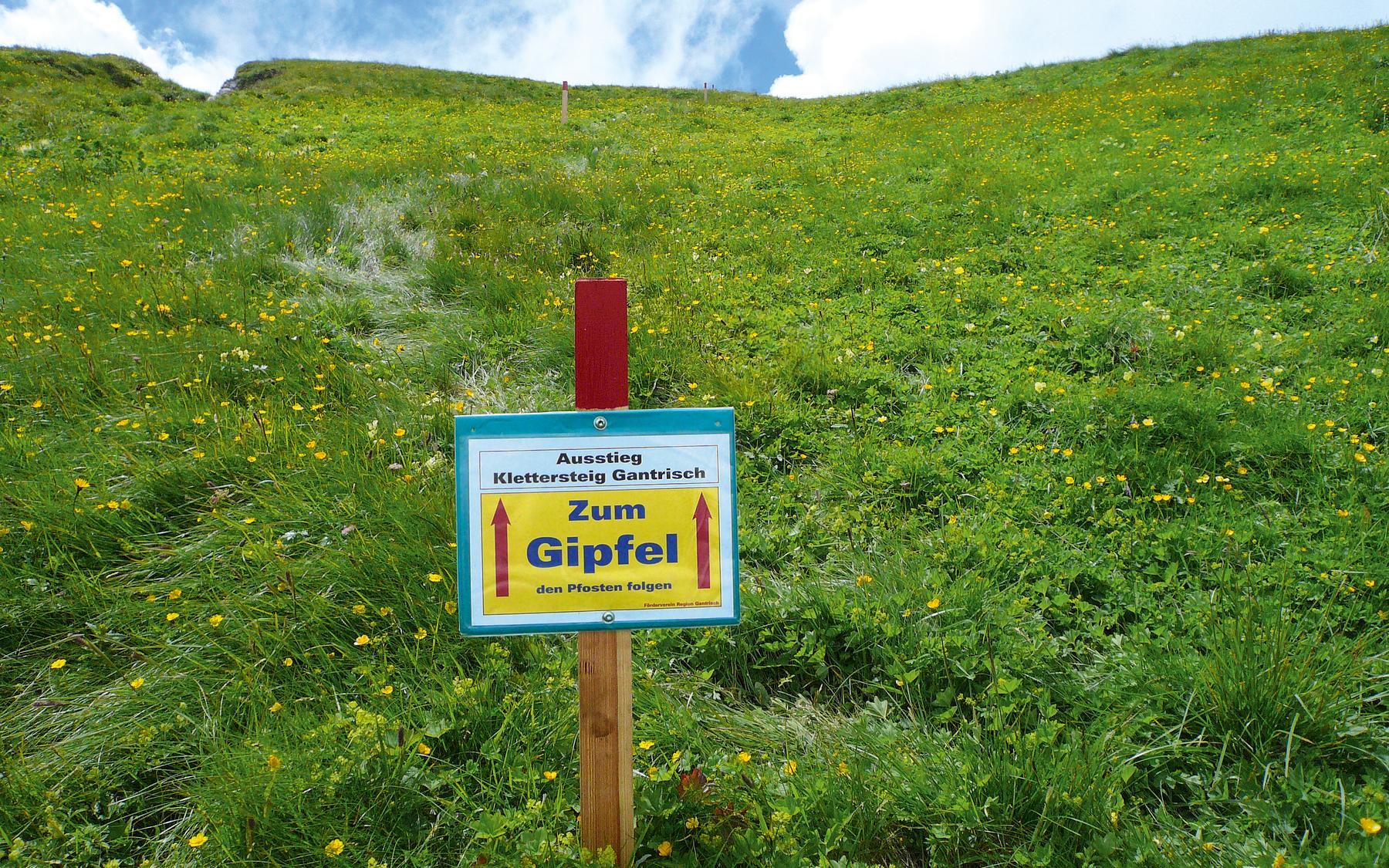 Gipfelwiese: gute Bodenhaftung.