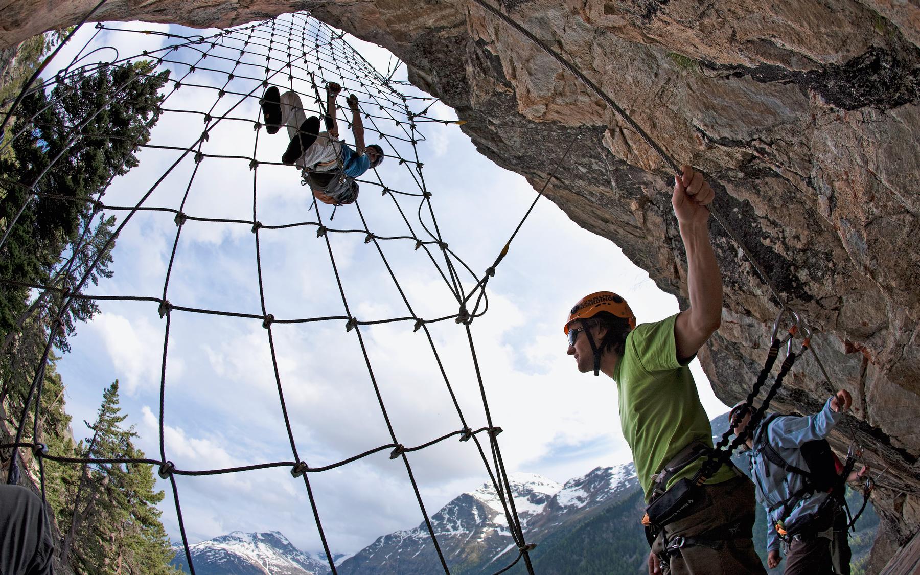 The spider's web.