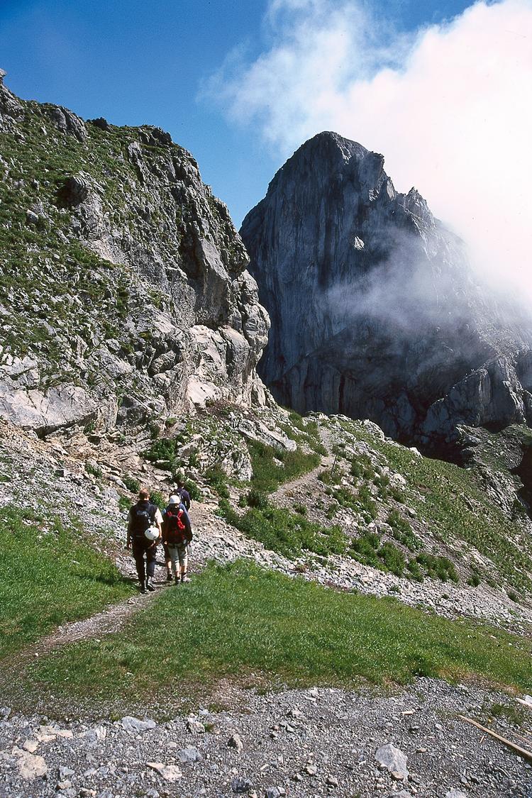 Rüebli