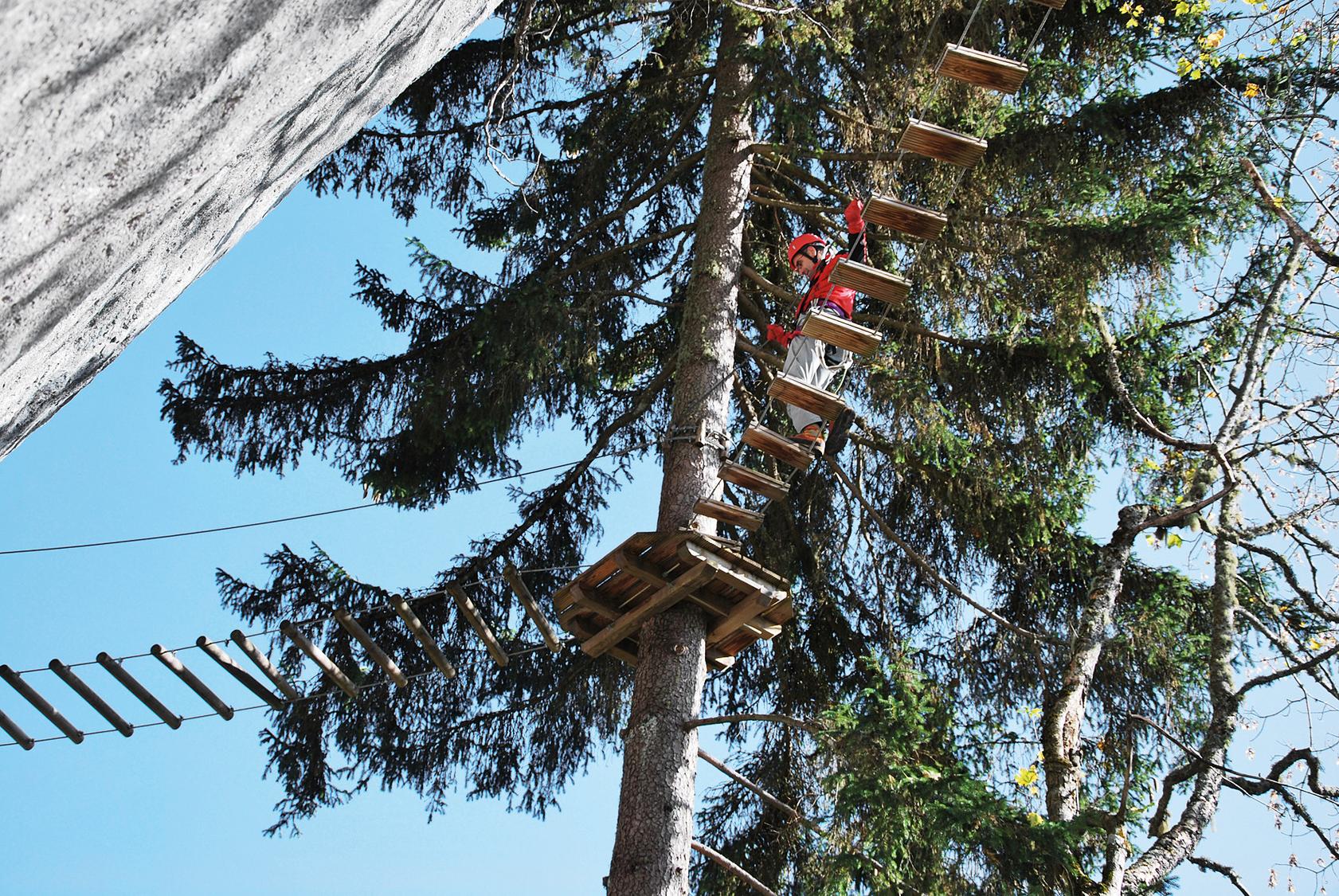 Wibbly wobby wooden ways.